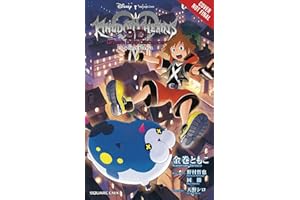 Kingdom Hearts 3D: Dream Drop Distance (light novel)