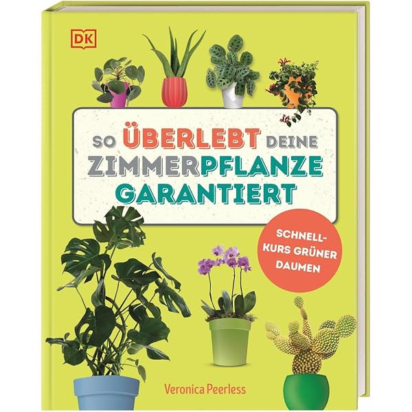 decorum zimmerpflanze Aglaonema Greenlight Kolbenfaden Zimmerpflanze Ø17cm 60cm kaufen