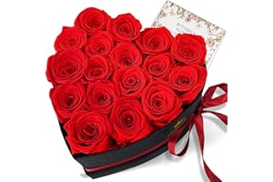 SOPALMY 17 Ewige Rosen - Rote Echte Rosen in Herzbox - Geschenke für Valentinstag, Weihnachten, Muttertag & Hochzeit - Langlebige Infinity Rose als Romantikgeschenk für besondere Anlässe