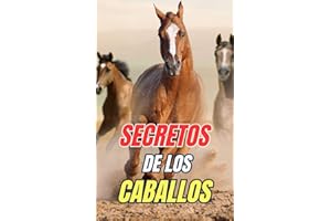 Secretos de los Caballos: Descubre los Misterios y Maravillas del Mundo Equino