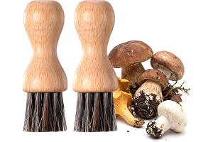 TIESOME 2 stycken grönsaksborste, svampborste, svampborste, svampborste, potatisborste, trädiskborste av bokträ och hästhår f