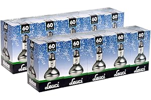 Leuci 10 x Reflektor Glühbirne R63 60W E27 matt Glühlampe 60 Watt Glühbirnen Glühlampen Reflektoren