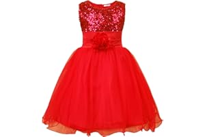 JerrisApparel Petite Fille Paillette Fête Fleur Robe de Cérémonie Bal Banquet Tulle