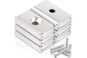 SWIHORAB 6 pezzi 20x13,5x5mm Magneti al neodimio Extra forti, Magneti Forti Grandi Magneti avvitabili Magneti rettangolari Magneti con foro Chiusura magnetica Magnete a testa svasata