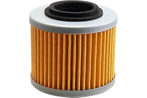 Cnornus Ölfilter für F650GS F650 GS650 2001 2002 2003 G650GS 2009-2015 für Aprilia Pegaso 650 652 1993-2000/026185 11412343118