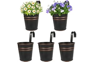 BOFUNX 5pcs Vintage Hanging Flower Pots, Metal Black Plant Pots Hanging Planters with Detachable Hooks for Railing Fence Balcony Garden (Vintage Black, 10cm)