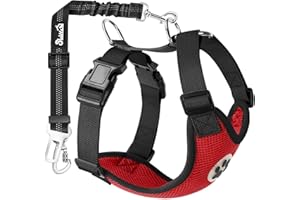 Eyein Hundegeschirr mit Sicherheitsgurt für Auto, 2 Karabinerhaken - verbunden mit Sicherheitsgurt-Schnalle, Kinder-Sicherheitssitz oder Trunk, verstellbare atmungsaktiv Geschirr (Rot, XS)