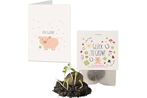 IDEENVERLAG-HAMBURG 10x "Glück to grow" Samenbomben & Geschenkkarten Set | kleine Glücksbringer & Mini Geschenke | Saatbomben Gastgeschenk | Neujahrsglücksbringer | kleine Aufmerksamkeit für Kollegen