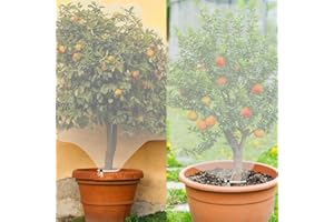 Insect Bird Barrier Netting Mesh with Drawstring, KITERI 2 Pack Fine Mesh Garden Netting Garden Netting Bugs Plant Cover Plant Cover Netting for Blueberry Vegetables Strawberry, 1 * 1.5M