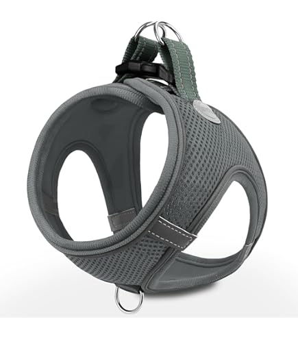 TRE PONTI Easy Fit Neon Mesh Geschirr Mint | Sommergeschirre | Geschirre | Gassi | Chi&Co Shop für Hundemode & Accessoires