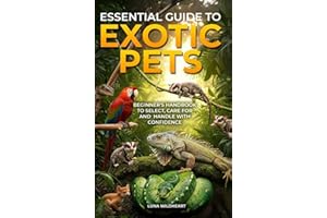 Essential Guide to Exotic Pets
