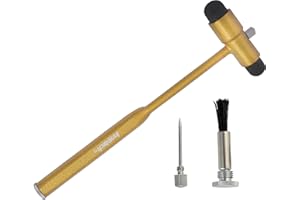 INNOTECH INSTRUMENTS Innotech - Martello neurologico con pennello e ago per riflessi cutanei e reazioni superficiali (oro)