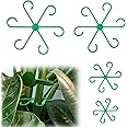 PEUTIER 4pcs Climbing Houseplant Stem Supports, Plastic Plant Climbers Stem Holders Reusable Plant Stem Hook Growth Accessories for Plant (green)
