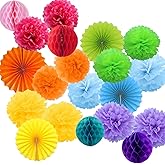 20 Pompoms Decoration Multicoloured Flowers Tissue Paper Pompom Fans Honeycomb Balls Garland Decoration Party Carnival and Bi