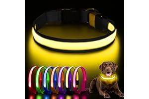 AOZOOM Light up Dog Collar, Rechargeable LED Dog Collar with 3 Glowing Modes, Adjustable Reflective Dog Collar for Small Medium Large Dogs(Black, Small)