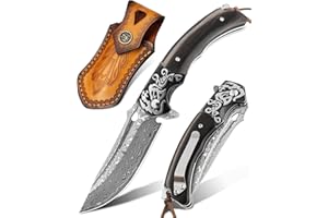 LOTHAR RHAEGAL Couteau de Poche Damas, Couteau Pliant Damas en Acier Damas 67 Couches VG10, Couteau Damas à une Main Avec Manche en Bois, Pour Collection ou Cadeau (ébène)