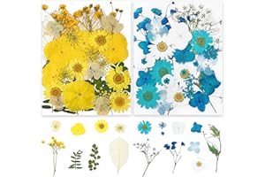 Romcade 66Pcs Dried Pressed Flowers Multicoloured Real Dried Natural Flowers and Press Leaves for DIY Face Jewelry Home decoration Candle Nail Pendant Card Scrapbook Art Craft Floral Decors (Blue)