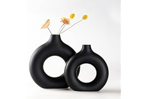 Sawoake Set di 2 vasi in ceramica a ciambella nera per decorazione moderna della casa, vasi rotondi erba della pampa, neutri boho nordic mi