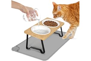 Lannvan Katzennapf Erhöht, 2er Set Futternapf Katze aus Keramik mit Napfunterlage Silikon, Ergonomischer Futterstation 15°gekippte Katzen Hundenapf,Fressnapf und Wassernapf für Katzen und kleine Hunde