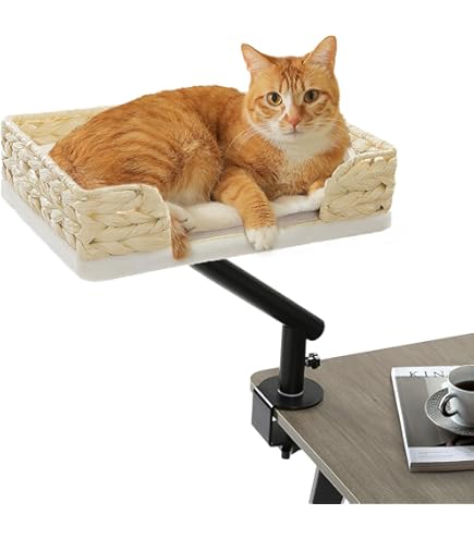 CATISM Kat Bureaubed Zacht Vierkant Desktop Bed Bureauklem Kitty Bedden Tot 55 Lbs Perfect Kantoorwerk Deskcat Hangmat Indoor Katten Met 2 Huisdieren Matten Vierkant 2044379233