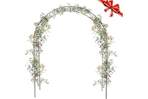 CARLONG Metal Garden Arch, Stainless Steel Frame Garden Arch 120CM 150CM 180CM 200CM 220CM 240CM 300CM for Climbing Plants, Roses, Vegetables, Outdoor Decoration and Archway Decor (Stainless Steel, 1.2x2.3m)