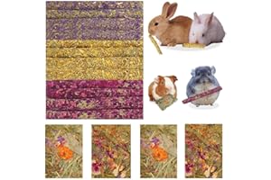 Abizoo Kaninchen Spielzeug Kauspielzeug,Timothy Heu Sticks + Herbal Floral Leckerli 16 Stück für Chinchilla,Hasen, Meerschweinchen, Hamster,zwergkaninchen Snack Futter Molar Zubehoer