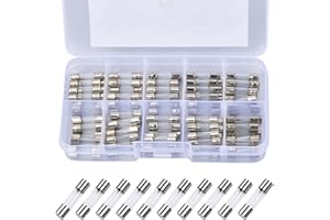 Vesaneae 100 Stk Feinsicherungen Flink, 5x20mm 250V Feinsicherung Sortiment 0.2A, 0.5A, 1A, 2A, 3A, 5A, 8A, 10A, 15A, 20A, Glassicherung, Glasrohrsicherung, Glas Sicherungen