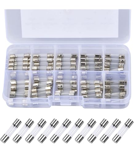 10 Fusibili Temporizzati In Vetro 2,5A 250V - 5x20mm, Per Elettrodomestici