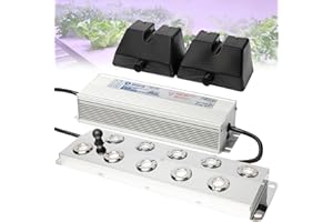 TAZZOR Nebelmacher Ultraschall, Nebelmacher 6 Kopf Ultraschall Nebelgerät 6L/H mit 250W, Nebel Luftbefeuchter Teich Nebelgerät, Wasserdichtem Netzteil Schweres Nebelgerät Innenhof(6 Kopf)