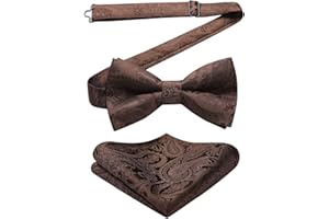 HISDERN Pajarita Hombre Preatada Conjunto de Pajaritas y Pañuelo de Bolsillo Ajustable Corbatín con Pañuelos para Fiesta Bodas