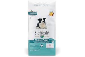 Schesir, Aliments secs pour Chiens Chiots de Taille Moyenne au goût du Poulet, en croquettes - Format Sac de 12 kg