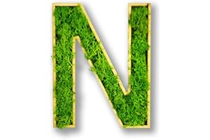 Acryltypo Moosly® Holzbuchstabe – N - mit Rahmen aus Holz, Moos Deko Buchstaben Zeichen Symbol Zahl - Holzbuchstabe mit echtem Islandmoos - Wandbilder Wohnzimmer Deko Wand Bilder Wohnzimmer Bilder
