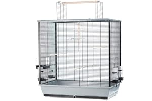 Ollesch Large Bird Cage Budgies Canaries Large Parakeet with Free Seat and Accessories