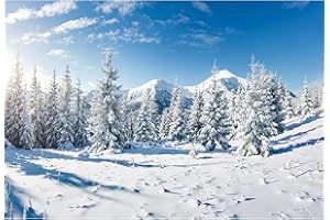 MIRRORANG 2,2x1,5m Winter Wald Landschaft Hintergrund Outdoor Schnee Szene Kiefer Gefrorene Wand Dekor Hintergrund für Fotografie Weihnachten Foto Hintergrund, Vinyl