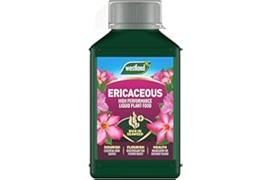Westland Ericaceous High Performance Liquid Plant Food 1 Litre Green