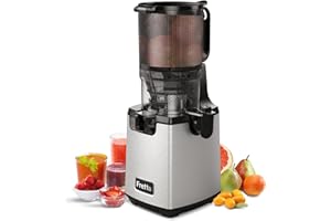 ‎FRETTA Fretta Entsafter Slow Juicer Machine, Entsafter Gemüse und Obst Testsieger, 250W Edelstahl Saftpresse Elektrisch Obstpresse mit 135mm Großem Öffnung, Leicht zu Reinigen, Umkehrfunktion, BPA Frei
