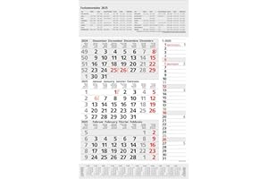 3-Monats-Planer Combi Grau 2025: 3-Monatskalender groß I Wandplaner / Bürokalender mit Datumsschieber, Ferienterminen, Vor-und Nachmonat und Jahresübersicht I extra Streifenplaner I 30 x 47,8 cm