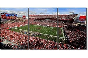 TUMOVO Tampa Bay Fußball-Sport-Wandkunst, Freibeuter-Gemälde, Fußballspiel, Bilder, Raymond James Stadion, Kunstwerk, Heimdekoration für Wohnzimmer, gerahmt, Galerie, fertig zum Aufhängen, 121,9 cm B x 61 cm