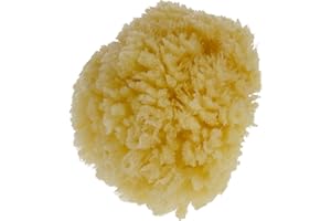 PARSA BEAUTY PARSA Baby Mini éponge de mer naturelle