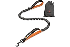 Sweetie Bungee Dog Lead - Shock Absorbing Leash that Softens Pulls & Stops – Neoprene Padded Loop & Traffic Handles for Extra Comfort - Reflective for Safer Night Walking