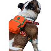Pawlook Design, Gimme Five, Turuncu &Ccedil;antalı G&ouml;ğ&uuml;s Tasması,K&ouml;pek Sırt &Ccedil;antası &ndash; G&ouml;ğ&uuml;s Tasması İşlevli, Geri D&ouml;n&uuml;şt&uuml;r&uuml;lm&uuml;ş Malz