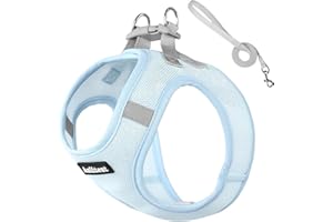 Anlitent No Pull Dog Harness with Breathable Mesh Padded, Adjustable Escape Proof Puppy Harnesses 8 Weeks, Quick Fit Service Vest Harness Collar for Small Dogs, Maltese, Toy Poodle (Ice Blue, XS)