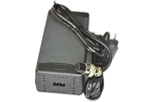 RiuScooter Cargador Patinete Eléctrico 54,6V 2A, Conector 3 Pines JSM 16, con Ventilador, Varios Modelos de SmartGyro, (Bateria Litio 48V) K2, Rockway, Speedway, etc