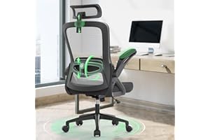 BareTay Office Chair Ergonomic Desk Chair with Adjustable Pillow Lumbar Support,Padded Flip-up Armrests,Headrest,Comfy Seat Cushion Mesh Office Desk Chair High Back Task Chair Swivel Computer Chair