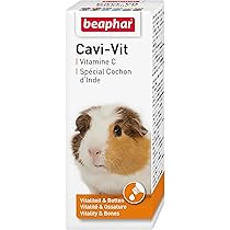 Compresse Di Vitamina C Per Porcellini D'India Beaphar - Gusto Arancione, 100 Pezzi