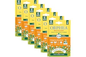 Orphea Salvalana, Foglietti Emanatori per Cassetti e Armadi, per Lana e Vestiti Tutta la Stagione, Profumo di Sandalo e Bergamotto, 6 Confezioni da 12 Foglietti