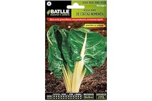 SEMILLAS BATLLE Semi di ortaggi Batlle - Green Cut Mangold Nomonta (600 semi)