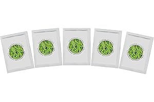 NATURAL PROBIOTIC SELECTION Colture per Lattoinnesto Yogurt – Pacco di 3 Bustine di Coltura Liofilizzata per Yogurt Rhamnosus e Gasseri (5 Bustine)