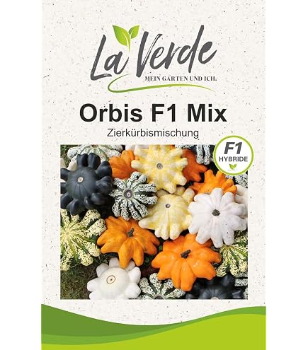 Bobby-Seeds Kürbissamen 'Gladiator PMT F1' – Mehltauresistent, Portion (10 Korn)