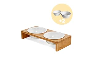 PiuPet® 2er Platos para Gatos + 2 Cuencos I 250ml I Apto para lavavajillas | Comedero Gato Elevado I Comedero Perro pequeño I Gatos Accesorios | Rejilla con 4 Ceramica Cuencos | Comedero Gatos